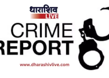 सुधीर पाटील, विजय दंडनाईक यांच्यासह  १४ जणांवर मारहाणीचा गुन्हा दाखल