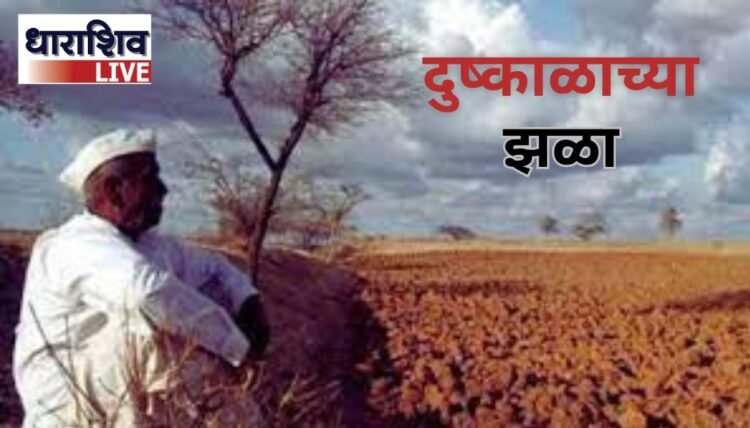 धाराशिव जिल्ह्यात दुष्काळ सदृश परिस्थिती