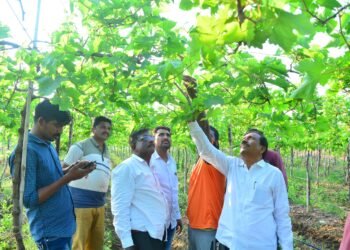 धाराशिव जिल्ह्यात अवकाळी पावसामुळे पिक व फळबागांचे मोठे नुकसान