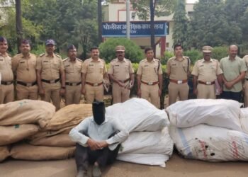 ईटकुर शिवारात अवैध गांजा लागवड