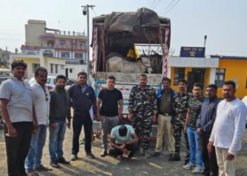 भूम : जनावरांची अवैध वाहतुक करणाऱ्यावर गुन्हा दाखल