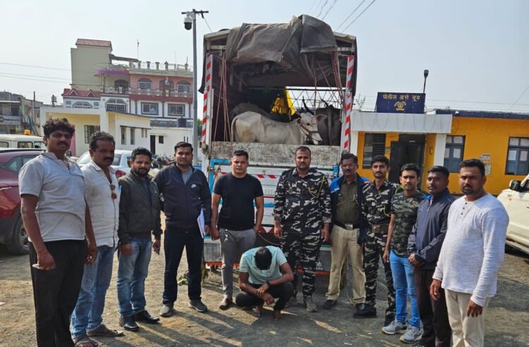 भूम : जनावरांची अवैध वाहतुक करणाऱ्यावर गुन्हा दाखल