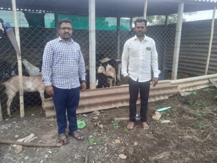 शेळीपालनासाठी अण्णासाहेब पाटील महामंडळ ज्ञानेश्वरसाठी ठरले आधारवड
