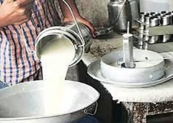 उमरगा, लोहारा येथे दुध भेसळ प्रतिबंधक कारवाई