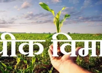 शेतकऱ्यांच्या हातात वाटाण्याच्या अक्षता …