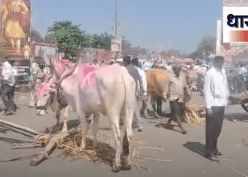 धाराशिवमध्ये चक्का जाम करणाऱ्या ३४ मराठा आंदोलकांवर गंभीर गुन्हा दाखल