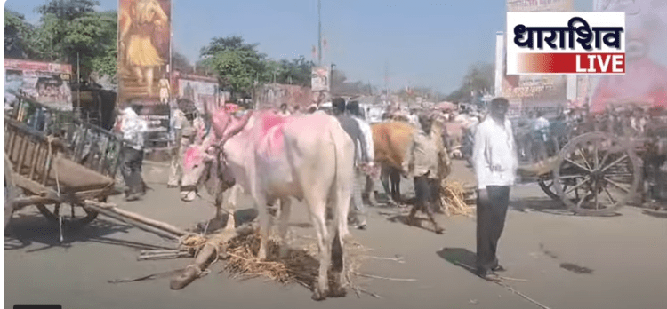 धाराशिवमध्ये चक्का जाम करणाऱ्या ३४ मराठा आंदोलकांवर गंभीर गुन्हा दाखल