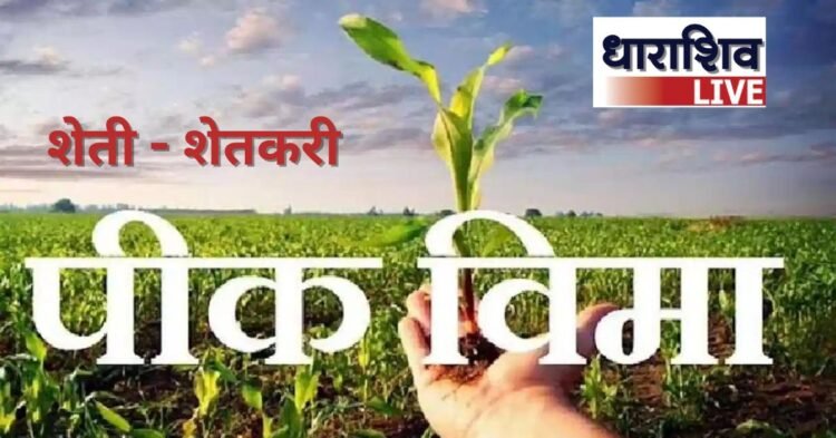 पीक विम्याबाबतचे ते जाचक परिपत्रक मागे घ्यावे