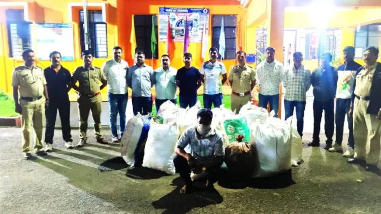 नळदुर्ग पोलिसांची मोठी कारवाई: कोटींचा गांजा जप्त