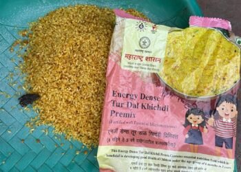 पाडोळी गावात शालेय पोषण आहारात मृत बेडूक आढळल्याने संताप