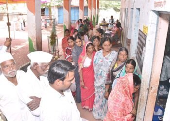 धाराशिव जिल्ह्यातील चार मतदारसंघांत सायंकाळी पाचपर्यंत सरासरी ५८.५९ टक्के मतदान