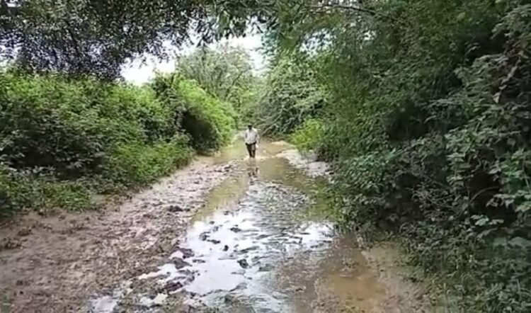 मुरूम – स्वातंत्र्याला ७७ वर्षे उलटूनही रस्त्याअभावी शेतकऱ्यांची चिखलातून पायपीट