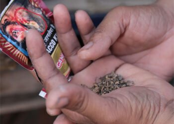 गुटख्यामध्ये मुरूमच्या वसूलदाराची भागीदारी