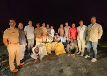 धाराशिवमध्ये गांजा तस्करांवर कारवाई, 16 लाखांचा गांजा जप्त