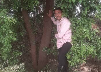 लोहारा : चंदनाच्या झाडाच्या तोडीवरून शेतकऱ्याचा आत्मदहनाचा इशारा