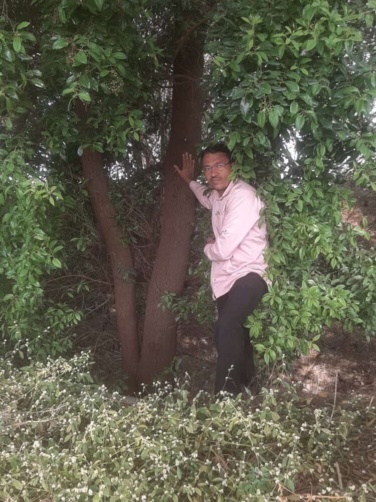 लोहारा : चंदनाच्या झाडाच्या तोडीवरून शेतकऱ्याचा आत्मदहनाचा इशारा