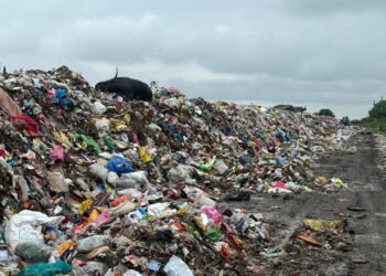 धाराशिव स्वच्छता घोटाळा – आठ कोटींचे टेंडर, शहर कचऱ्यातच गढूळ!