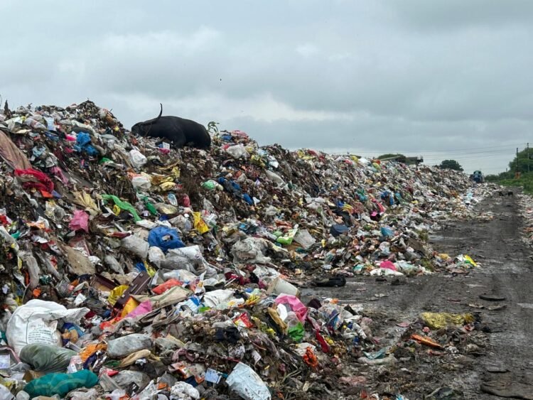 धाराशिव स्वच्छता घोटाळा – आठ कोटींचे टेंडर, शहर कचऱ्यातच गढूळ!