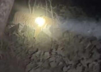 ‘वाघोबा टूर’ सुरू – सफर करत उमरग्यात दाखल!