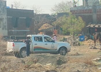 धाराशिवमध्ये पुन्हा हल्ला! वाघ की बिबट्या? तपास सुरू, पण वाघ ‘बुलेटप्रूफ’!