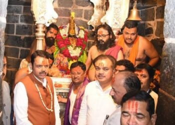 फडणवीस साहेब, हे तर कराच!