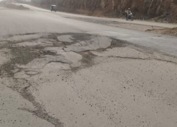 नळदुर्ग बायपासचे ‘खड्डे’ नाट्य:  सोलापूरचे प्रकल्प संचालक खासदारांनाही खोटे बोलताना रंगेहात!