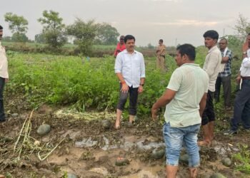 एकुरग्यात प्रलयंकारी पाऊस: टरबूज, आंबा, पपईच्या फळबागा जमीनदोस्त