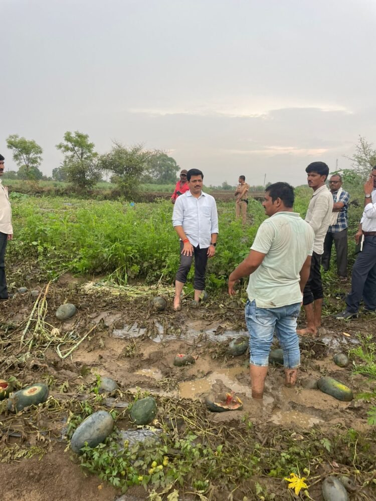 एकुरग्यात प्रलयंकारी पाऊस: टरबूज, आंबा, पपईच्या फळबागा जमीनदोस्त