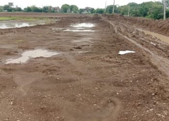 मेडसिंगा येथे ५० वर्षे जुना पाझर तलाव नष्ट केल्याचा आरोप, जिल्हाधिकारी कार्यालयाकडून चौकशीचे आदेश