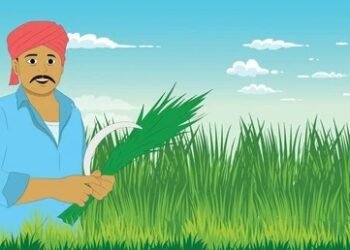 धाराशिव जिल्ह्यातील शेतकऱ्यांना परदेशात प्रशिक्षणाची संधी: ५ शेतकऱ्यांची होणार निवड