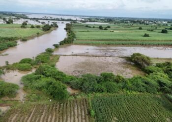 धाराशिव जिल्ह्याला अतिवृष्टीचा तडाखा, शेतीचे अतोनात नुकसान