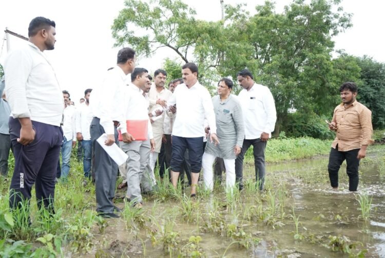 कृषीमंत्र्यांकडून अतिवृष्टीग्रस्त धाराशिव जिल्ह्याचा दौरा, ३ दिवसांत पंचनाम्यांचे आदेश