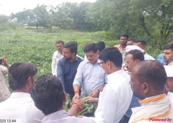 धाराशिव जिल्ह्यात अतिवृष्टीने हाहाकार, नुकसानीचे तातडीने पंचनामे करा: आमदार कैलास पाटलांची मागणी