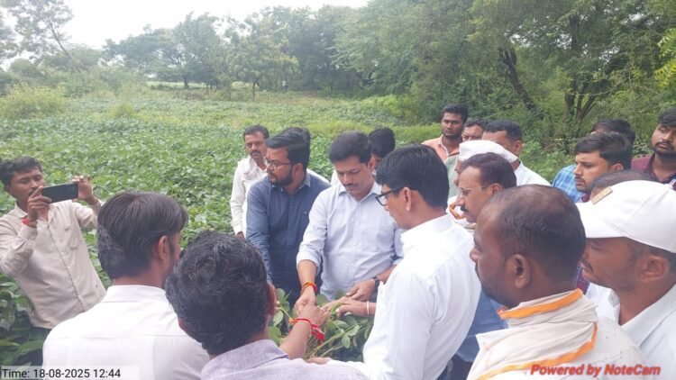 धाराशिव जिल्ह्यात अतिवृष्टीने हाहाकार, नुकसानीचे तातडीने पंचनामे करा: आमदार कैलास पाटलांची मागणी