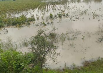 “शेतकऱ्यांच्या डोळ्यांतील अश्रू पाहून मन हेलावलं, सरकारने तात्काळ मदत न दिल्यास रस्त्यावर उतरू”