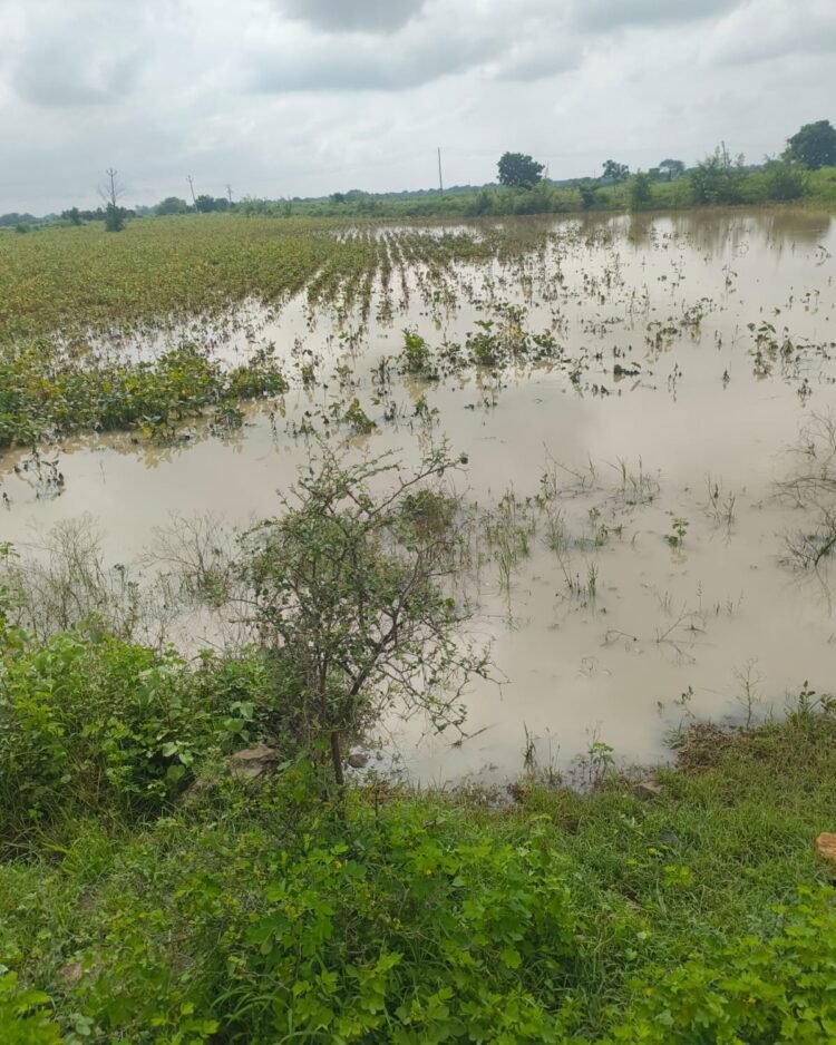 “शेतकऱ्यांच्या डोळ्यांतील अश्रू पाहून मन हेलावलं, सरकारने तात्काळ मदत न दिल्यास रस्त्यावर उतरू”