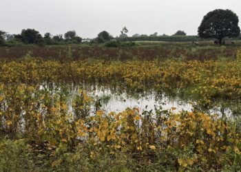 काळी आईच वाहून गेली, आता पेरायचं काय?