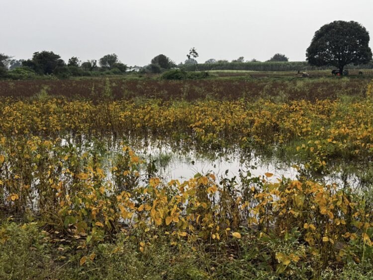 काळी आईच वाहून गेली, आता पेरायचं काय?