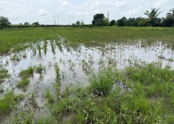 आश्वासनांचा पाऊस पुरे, आता मदतीचा महापूर येऊ द्या!