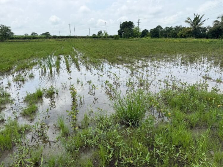 आश्वासनांचा पाऊस पुरे, आता मदतीचा महापूर येऊ द्या!