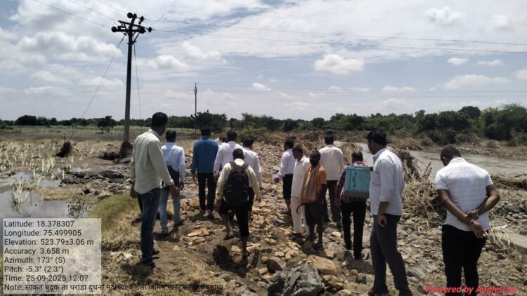 धाराशिव जिल्ह्यात अतिवृष्टीचा कहर: सव्वादोन लाख हेक्टरवरील पिकांना फटका