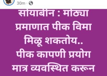 अहो आमदार राणा पाटील, शेतात पिके आहेत, शिलालेख नाहीत!