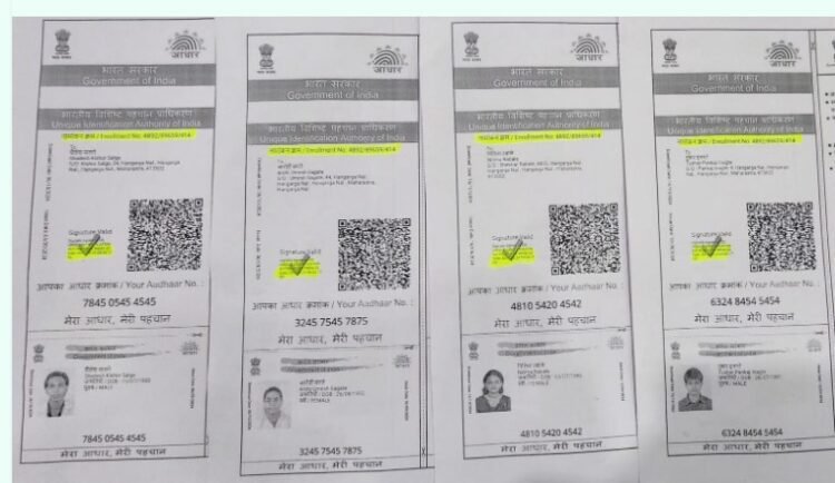 तुळजापूर बोगस मतदार नोंदणी प्रकरण: खासदार राजेनिंबाळकरांच्या पत्रानंतर प्रशासन सक्रिय