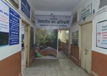 धाराशिवच्या सामाजिक वनीकरण विभागात ‘ॲडव्हान्स’ कारभार; हजेरी मस्टरवर चक्क भविष्यातील तारखांच्या सह्या!