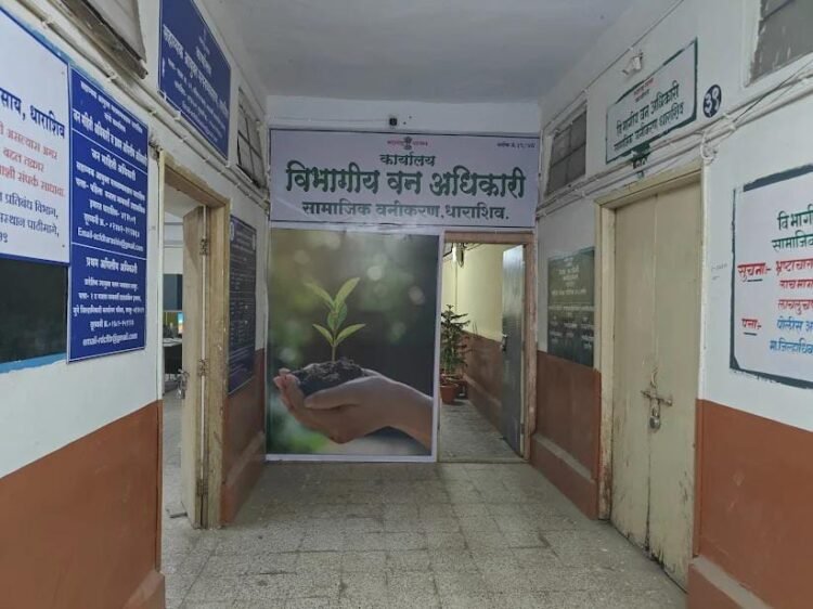 धाराशिवच्या सामाजिक वनीकरण विभागात ‘ॲडव्हान्स’ कारभार; हजेरी मस्टरवर चक्क भविष्यातील तारखांच्या सह्या!