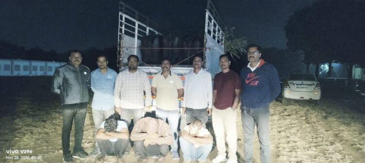 वाशीतील म्हशी चोरीचे फलटण-बारामती कनेक्शन उघड; स्थानिक गुन्हे शाखेची धडाकेबाज कारवाई, तिघे जेरबंद