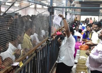 धाराशिव जिल्हा नगरपरिषद निवडणूक २०२५: भाजप आणि शिवसेना (शिंदे गट) यांची बाजी