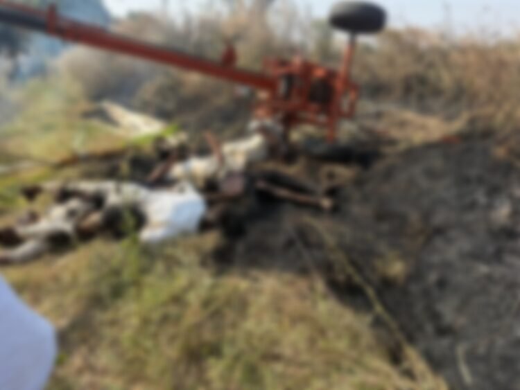 नळदुर्ग परिसर हादरला ! केशेगावात काळाचा घाला; विजेचा धक्का लागून बाप-लेकासह चौघांचा दुर्दैवी मृत्यू