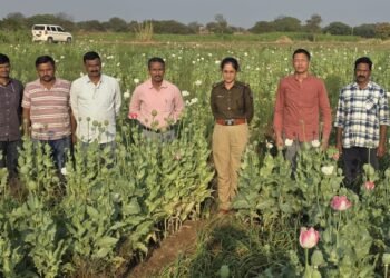 अफू लागवड प्रकरणी समाधान उघडे यांची शिवसेनेतून हकालपट्टी