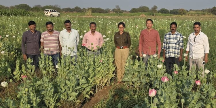 अफू लागवड प्रकरणी समाधान उघडे यांची शिवसेनेतून हकालपट्टी